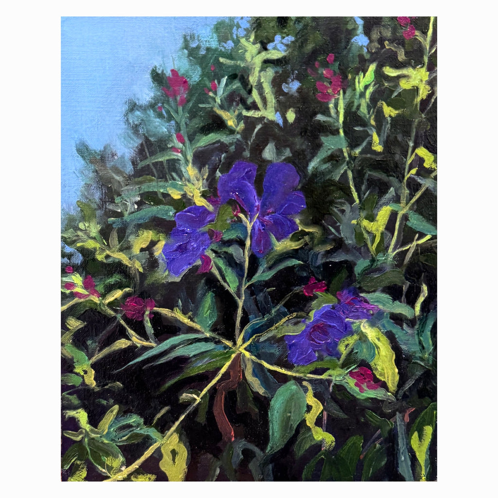 Tibouchina